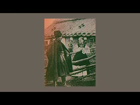 Українська народна пісня - Ой у полі три тополі (slowed + reverb)
