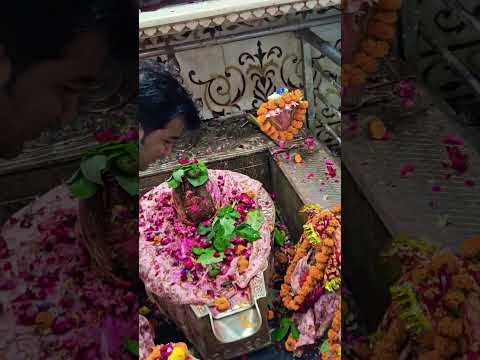 ###status of bhole baba ji####๐๐๐๐โค๏ธโค๏ธโค๏ธ๐น๐น๐น๐น๐##jai ho gorishankar bhagwan ki##๐๐๐๐โค๏ธโค๏ธโค๏ธโค๏ธ๐น๐น๐น๐น๐๐