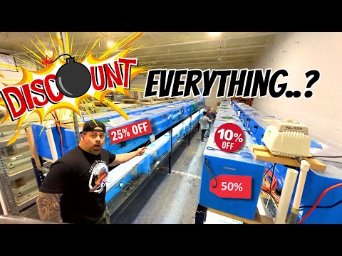 BIGGEST SALE YET?! Discounting everything? | Huge  Bascially everything at Predatory fins is now for sale. We are getting new fish in this week and we 