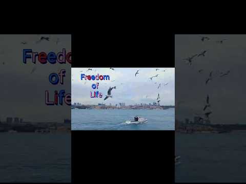 Picture that relax your mind😍😍😍 #shorts #viral #youtubeshorts #creativedesignbyssd