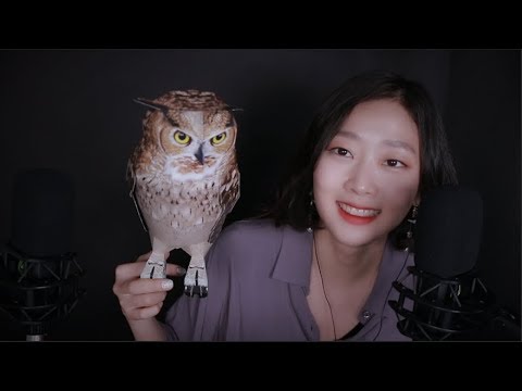 왓츠인마이(별게 다있는)작업실ASMR l 10트리거 What's In My Studio ASMR (10 Triggers)(ENG SUB)