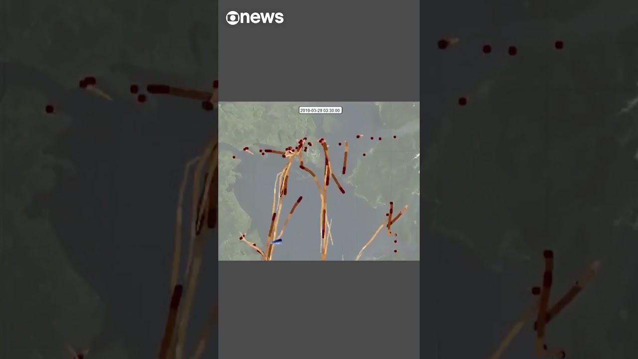 Imagem mostra baleia tentando desviar de centenas de barcos na Patagônia chilena TV Online Imagem mostra baleia tentando desviar de centenas de barcos na Patagônia chilena