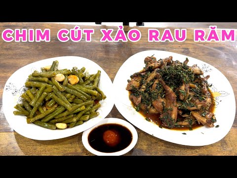 CHIM CÚT XÀO RAU RẰM