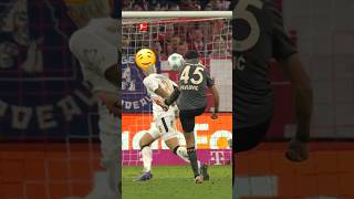 SCREAMER from Pavlovic 🔥