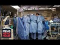 Transplant of pig kidney into a human marks medical milestone