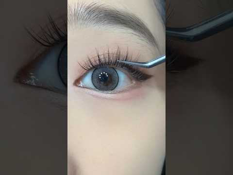 Perfect Kitten Eyeliner & Natural False Lash Look | Easy Step-by-Step Tutorial #eyemakeup #shorts