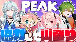 【PEAK】絶対手ェ放すなよッ！！！！#ストグラ救急隊