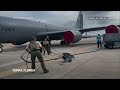 Alligator on runway at Florida Air Force base captured  - 00:35 min - News - Video