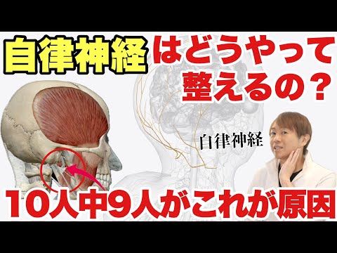 『自律神経が乱れる原因』と『整える方法』実は多くの人が知らない自律神経！