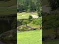 https://www.youtube.com/shorts/tIYBdkb4LWQ