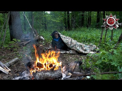 Hardcore Mosquito Survival Camp | No Food | Self-Made Survival Bag Overnight In The Forest
