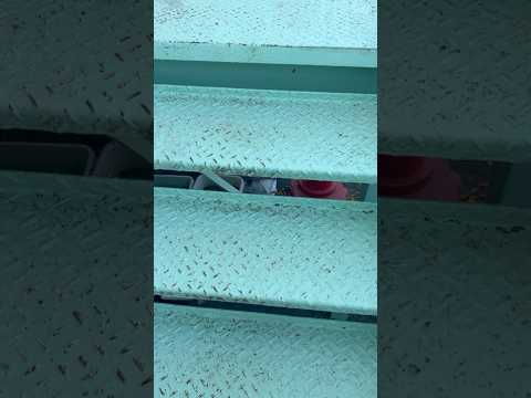 あれってまさか⁉︎ #shorts #お笑い #衝撃