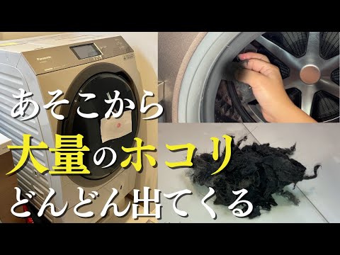 【ドラム式洗濯機の掃除】1年6か月分の埃を見よ！あの隙間、掃除してる？