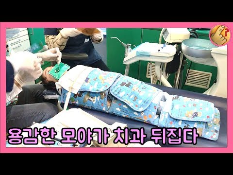 치과 에서 묶였다 용감한 모야는 어디로? | 모야모야패밀리 moyamoyafamily