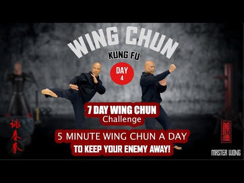 Wing Chun 5 Minute a day | Wing Chun 7 day Challenge day 4