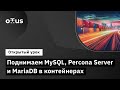  MySQL, Percona Server  MariaDB    -  « »