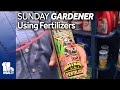 Sunday Gardener: Tips on using fertilizers to improve plants