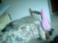 shawnhardy619