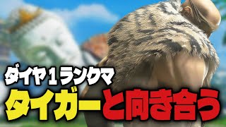 【スト6】原因不明のバグが発生してるランクマッチ🌸有識者募集【Vtuber】