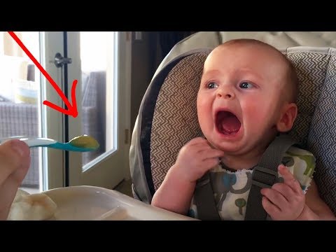 Funny Babies Trying Things For the First Time - Try not to Laugh Challenge