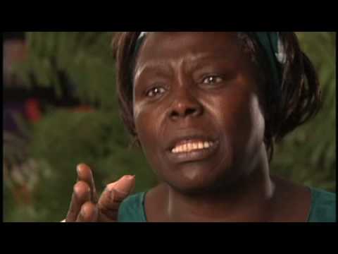 Taking Root: The Vision of Wangari Maathai'