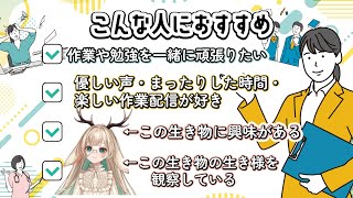◤Calm Work Stream┊JP Vtuber Learning EN◢　日常を彩る作業配信～オタクVS自動字幕～【 #月野木ちろる