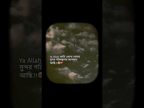 আল্লাহ আপনার নিয়ামতের অপেক্ষায় রয়লাম 😭🤲 #shorts #islamicstatus #viral #motivation #trending #love