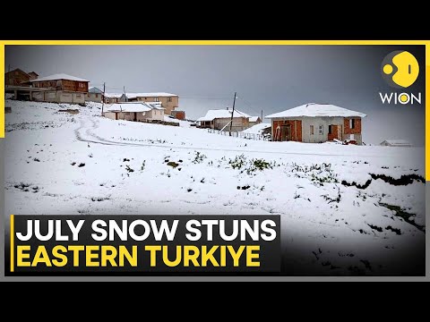 Snowfall In Eastern Turkiye Breaks Decades-Long Weather Patterns | WION