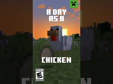 A DAY AS A CHICKEN!