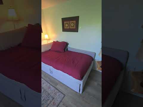 Video realizado por la propiedad