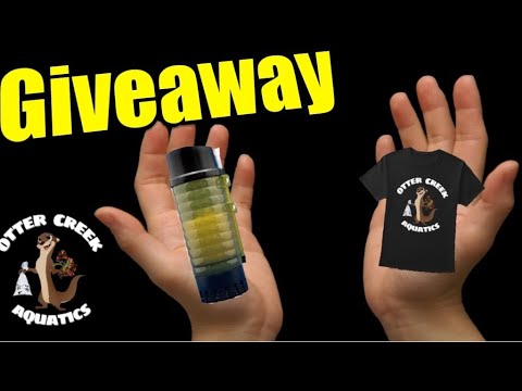 DOUBLE GIVEAWAY | Ziss Bubble Bio Filter And OCA S Double Giveaway | Ziss Bubble Bio Filter and OCA Shirt

About_

In this live stream I will be giving