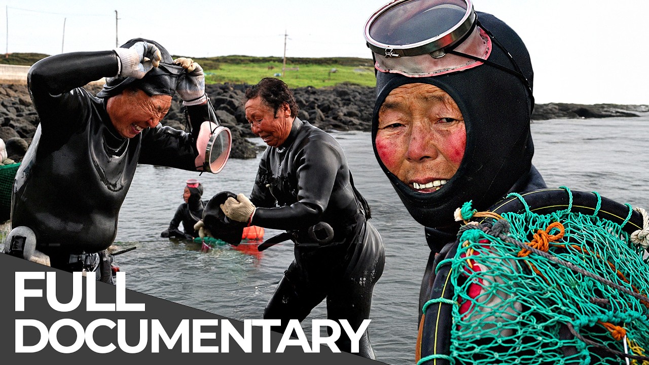 Every Dive Could Be Their Last | Haenyeo: South Korea's Most Dangerous Tradition | Free Documentary