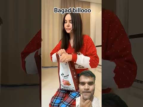 #cat #studywithmeandmycat #funny #memes #pets #cats #amazingmemes #comedy #animals #cute