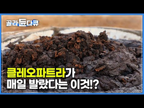 촉촉한 피부를 위해 클레오파트라가 애용했다는 이것의 정체│건조한 겨울에 꼭 필요한 최고의 보습제 시어버터가 만들어지는 과정│아프리카 가나 시어버터 공장│세계테마기행│#골라듄다큐