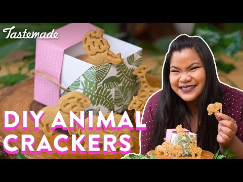 DIY Animal Crackers | Good Times With Jen