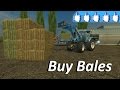 Buy Bales v1.0