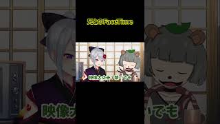 兄とのFaceTime【ぽこピー切り抜き】