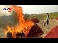 38 quintals of mirchi burnt by farmer