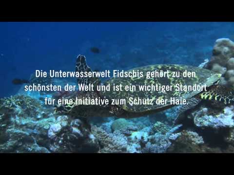 Projects Abroad Meeresbiologie auf den Fidschi-Inseln