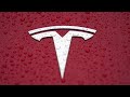 Two US senators call for Tesla recalls | REUTERS