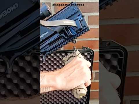 SAND STYLE PD-5 Steambow "Str8 outta CASE" #case #sandcoloring #customize #scopes #grip #limbs