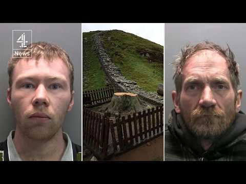 Sycamore Gap: Men jailed for more than 4 years for felling tree