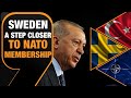 Turkey Parliament’s commission approves Sweden NATO bid, demands security-related concessions|News9