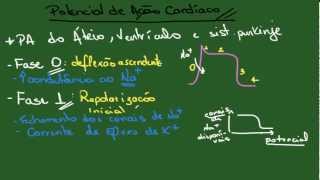 Diagrama De Potencial De Acao Muscular ABC Cardiol