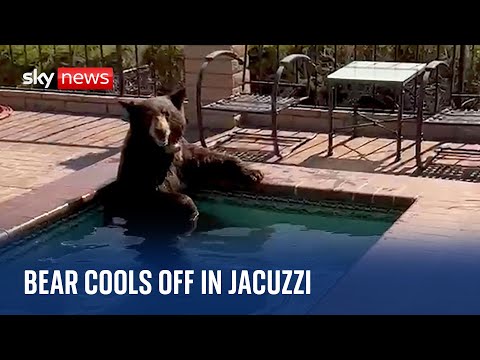 Bear cools off in jacuzzi during Southern California heatwave