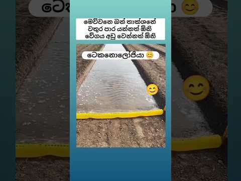 මෙව්වා මොල නෙමේ බොල මොල ගෙනාපු නැව් 🤭 #shorts #funny #comedy #trending #viralvideo #sinhala #jokes