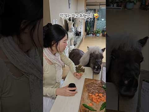 눈나 난 말술이야!!🦄🍶Are you drunk?🤣♥️