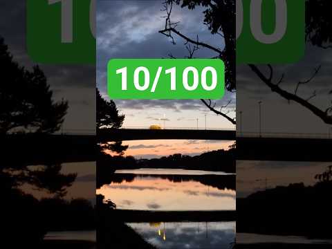 Day 10/100 100 Push Ups and 10 km.