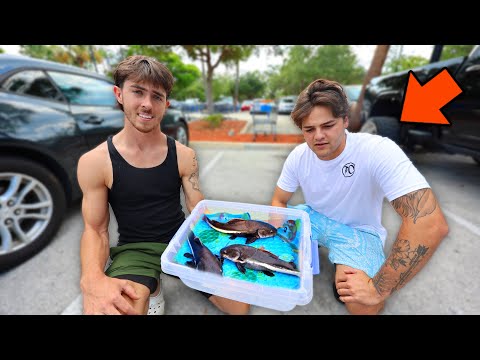 We EXPOSED this illegal scam.. Had to make it to Florida asap after I found out what was going on👀

@paulcuffaro 

Mystery Boxes
