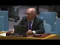 LIVE: Japan leads UN Security Council briefing on nuclear disarmament  - 02:22:46 min - News - Video